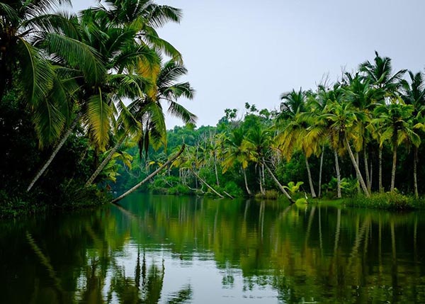 Alleppey
