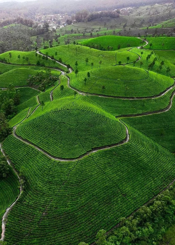 What Is Ayurvedic Medicine?