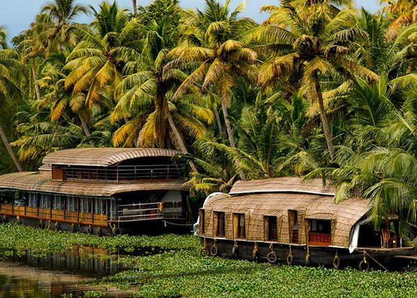 Kochi –Bangalore (By Flight) – Mysore (Drive 3 Hrs)